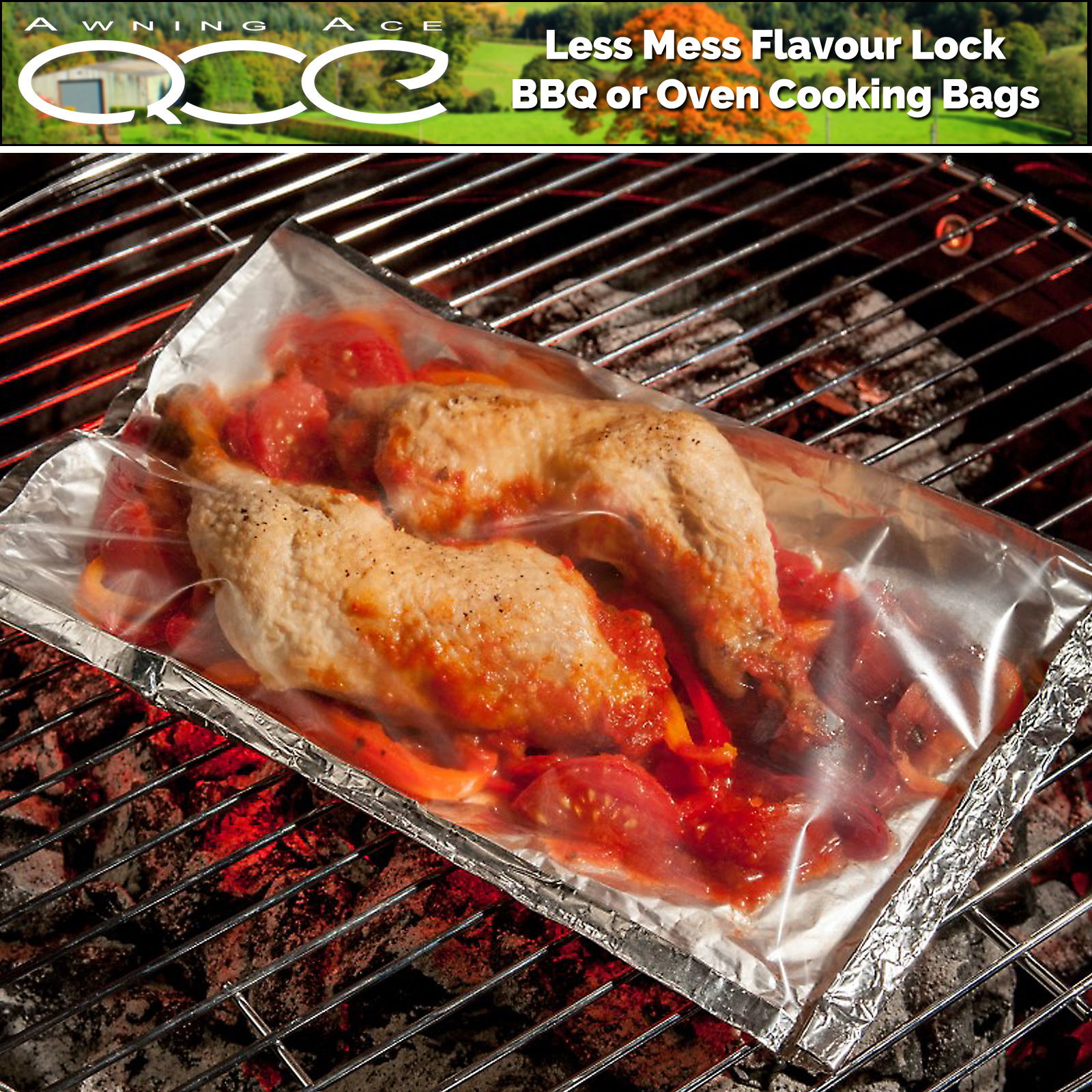 Oven, Barbeque, Hot Plate or Griddle Cooking Bag 